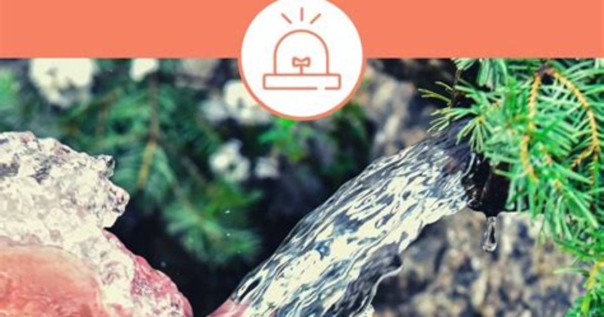 How to Develop a Natural Spring