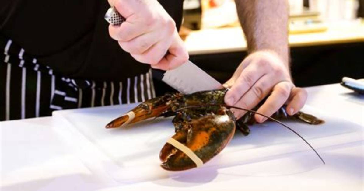 How to Dispatching a Lobster?