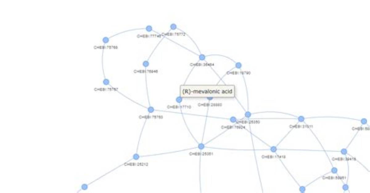 How to Display Node Attributes on a Networkx Graph Visualized with Pyvis?