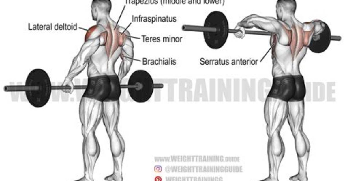 How to Do a Barbell Upright Row | Benefits & Technique