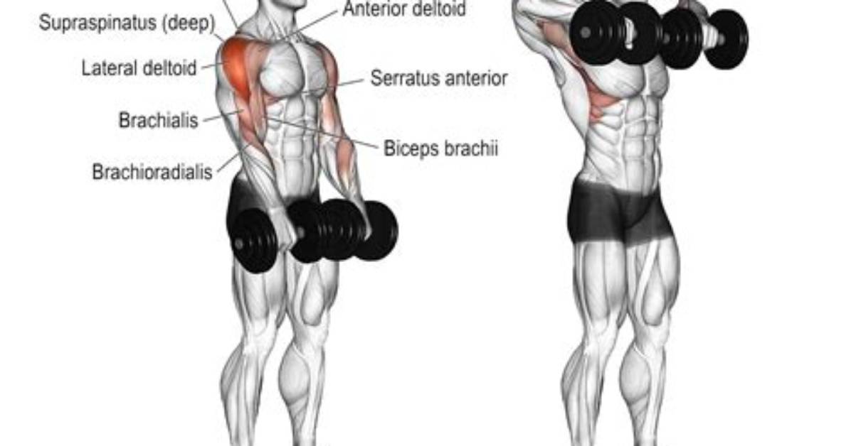 How to Do a Dumbbell Upright Row | Benefits & Technique