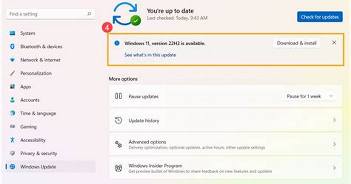 How to Do a Windows Update?