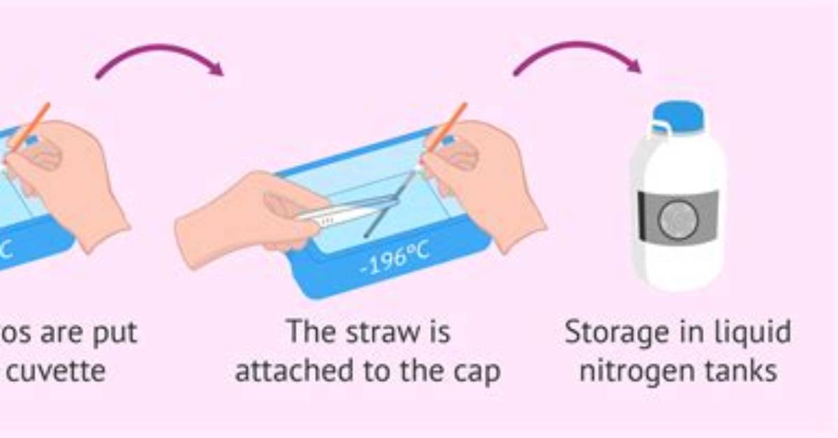 How to Do Vitrification?