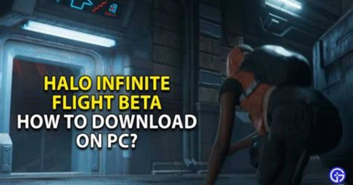 How to Download Halo Infinite Flight Pc?