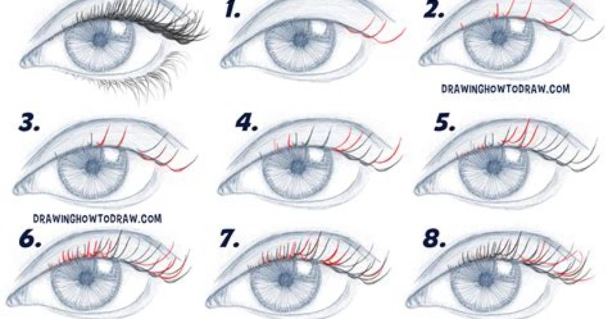 How to Draw Eyelashes Step by Step