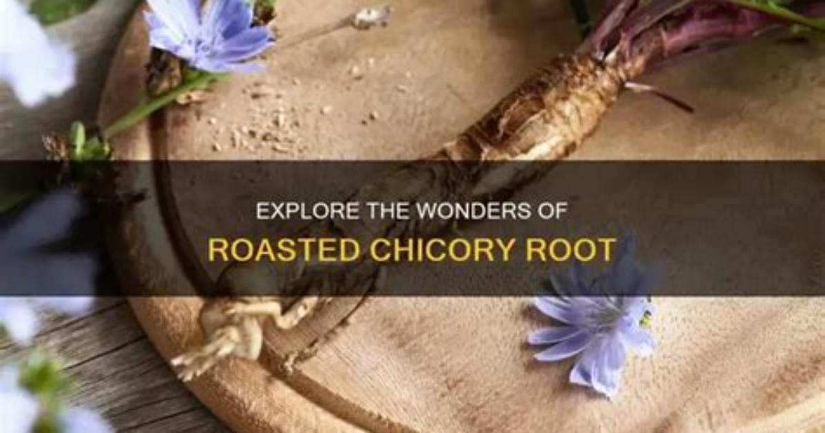 How to Eat Chicory Root?