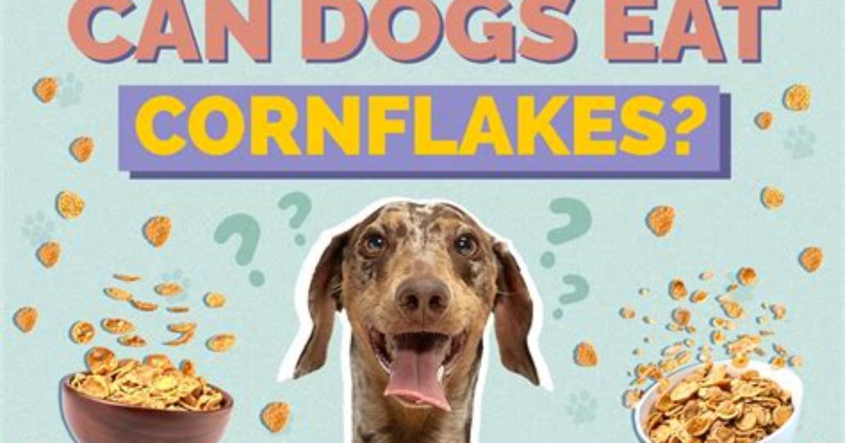 How to Eat Cornflakes?