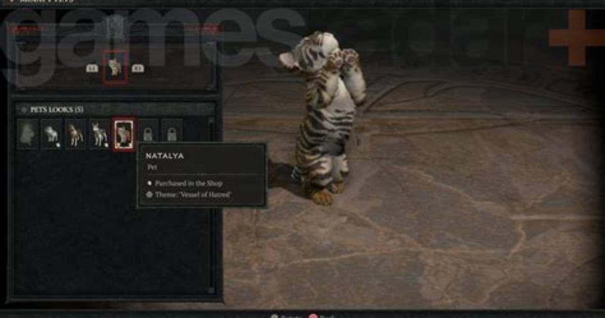 How to Equip Pets Diablo 3