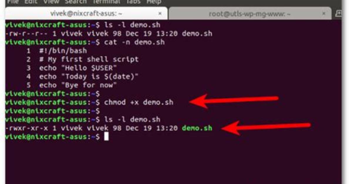 How to Execute a Script in Linux?
