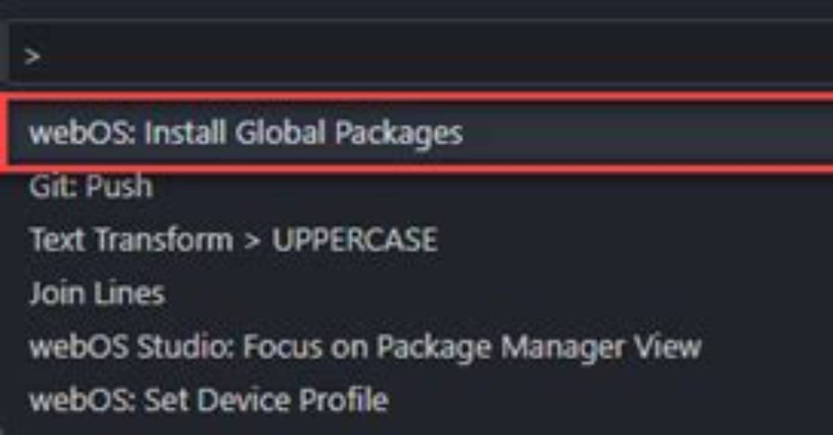 How to Execute Global Packages