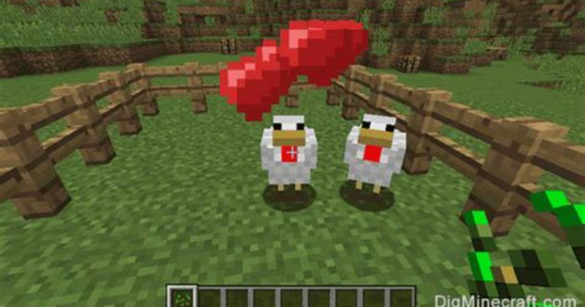 How to Feed Chickens Minecraft