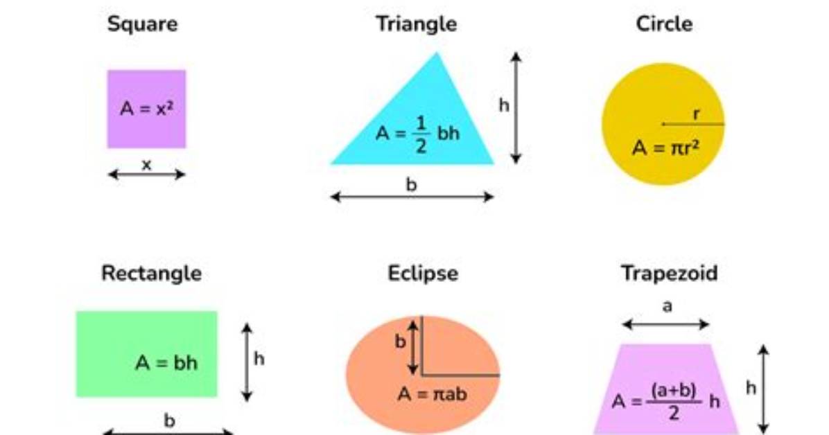 How to Find Area?