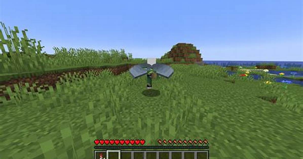 How to Fly up in Minecraft