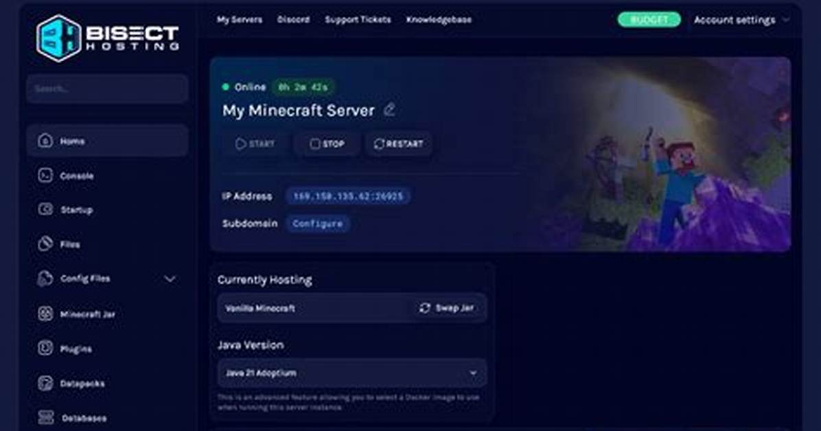 How to Get a Custom Minecraft Server Ip