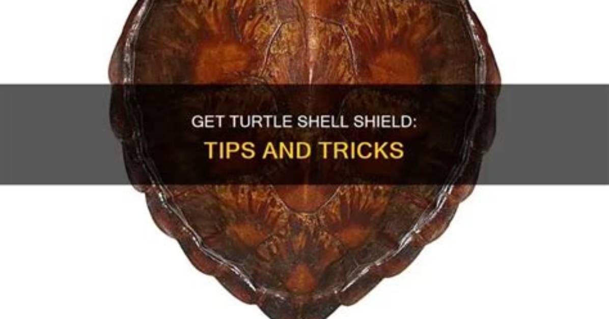 How to Get a Turtle Shell in Minecraft