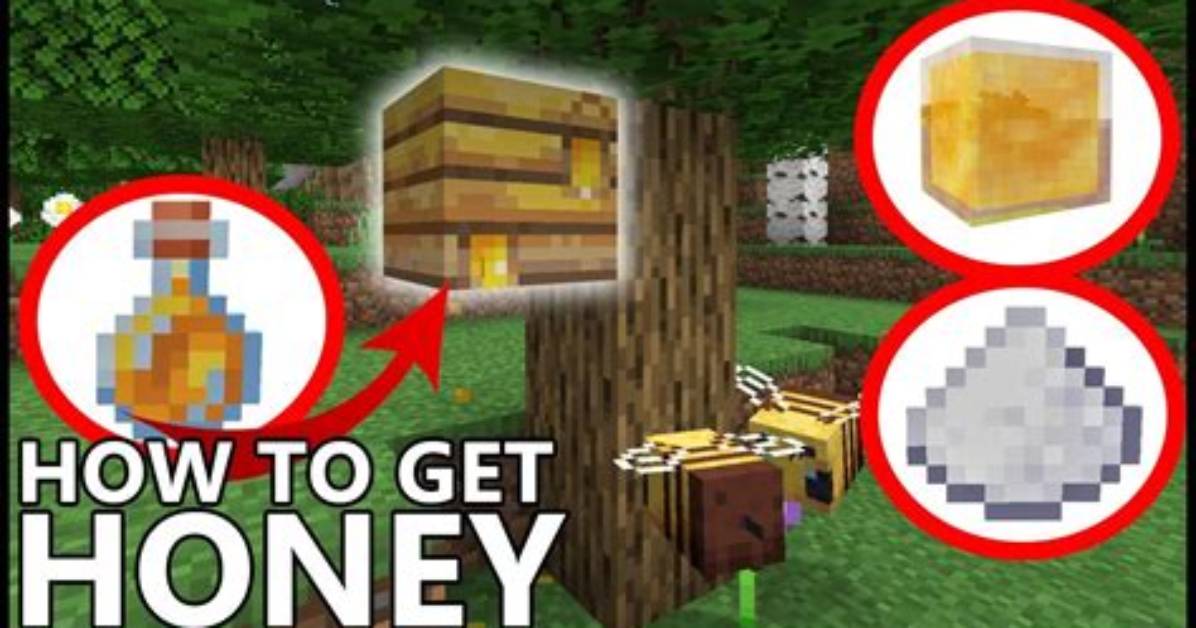 How to Get Honey on Minecraft