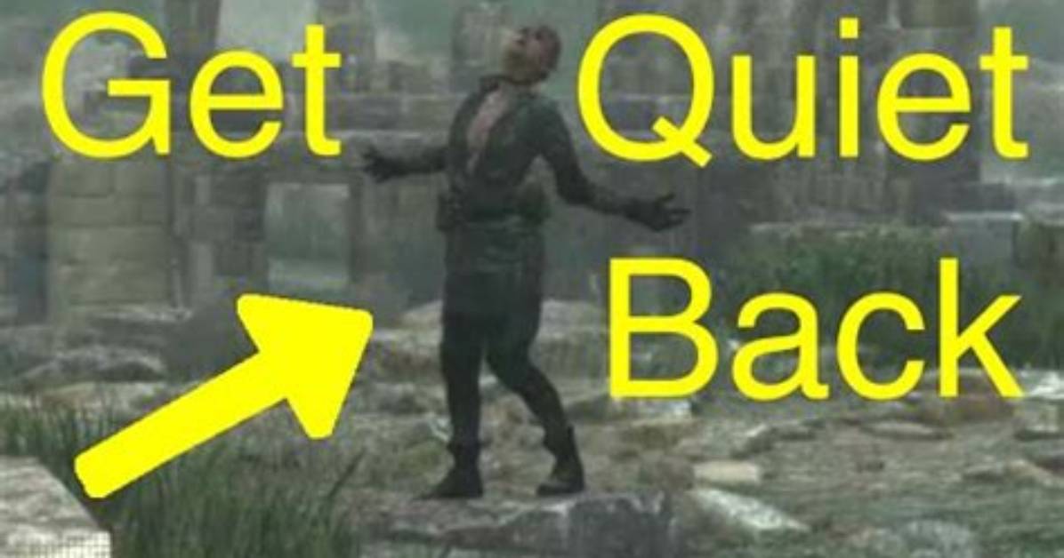 How to Get Quiet Back Ps4?