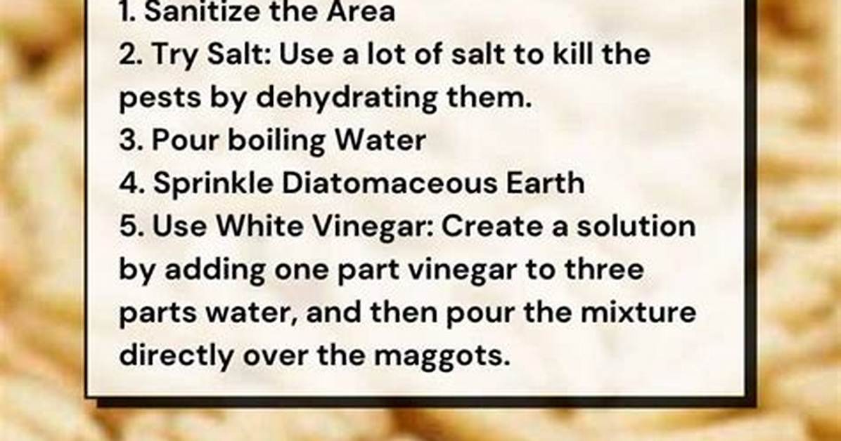 How to Get Rid of Maggots in Your Wheelie Bin