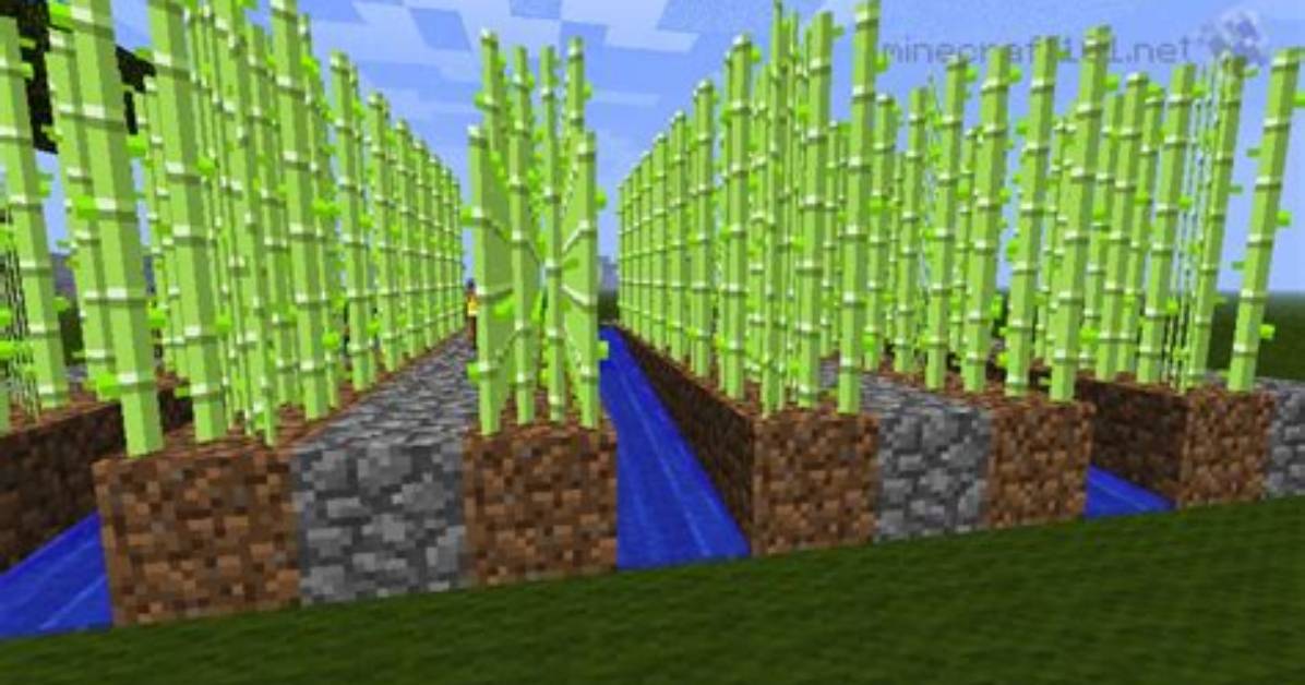 How to Get Sugarcane in Minecraft