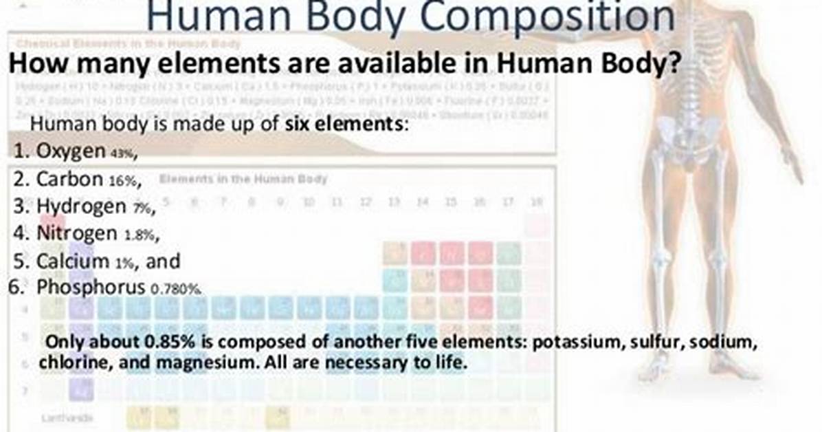 How to Get the Body Element Using Jquery