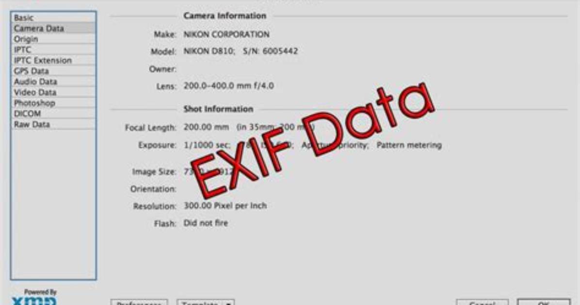 How to Get the Exif Data from a File Using C#