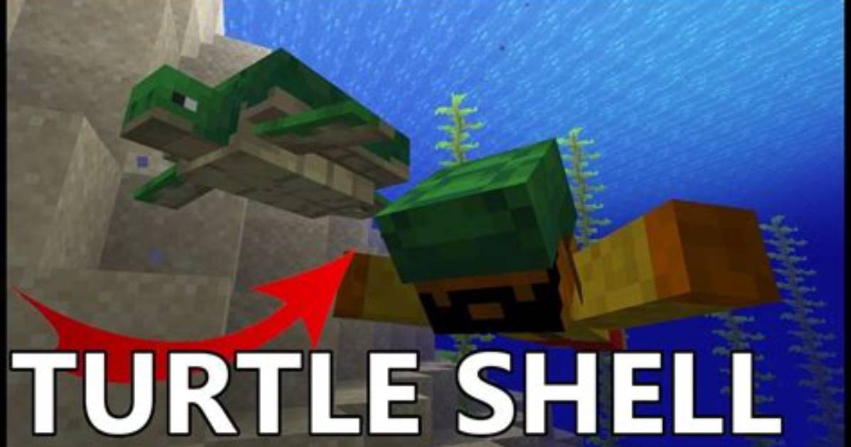 How to Get Turtle Shells Minecraft