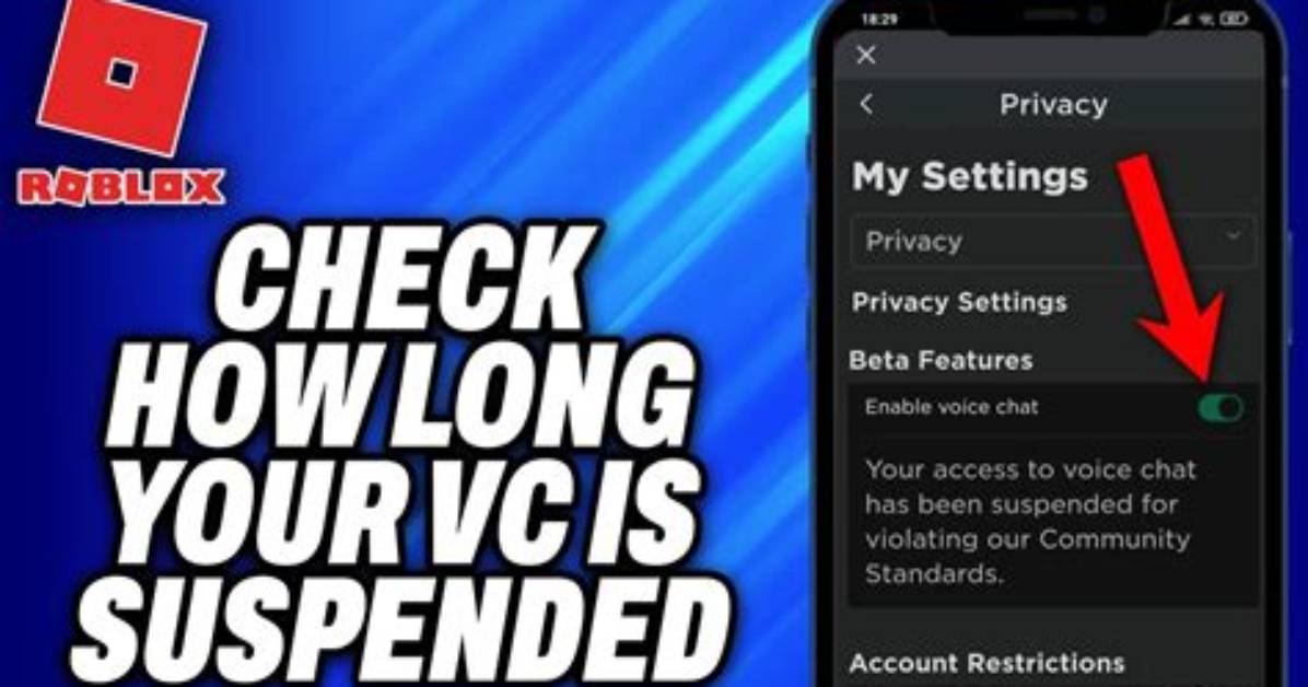 How to Get Vc Roblox