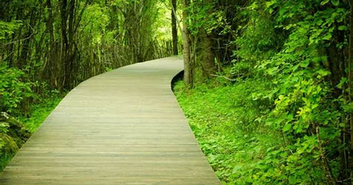 How to Give the Background-Image Path in Css?