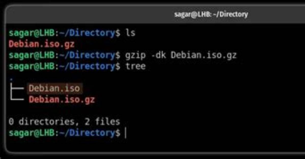 How to Gzip a File in Linux?