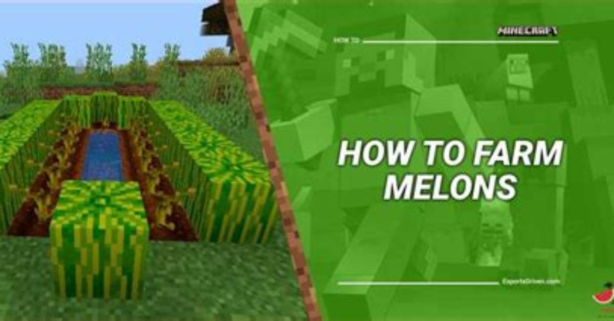 How to Harvest Melon Minecraft