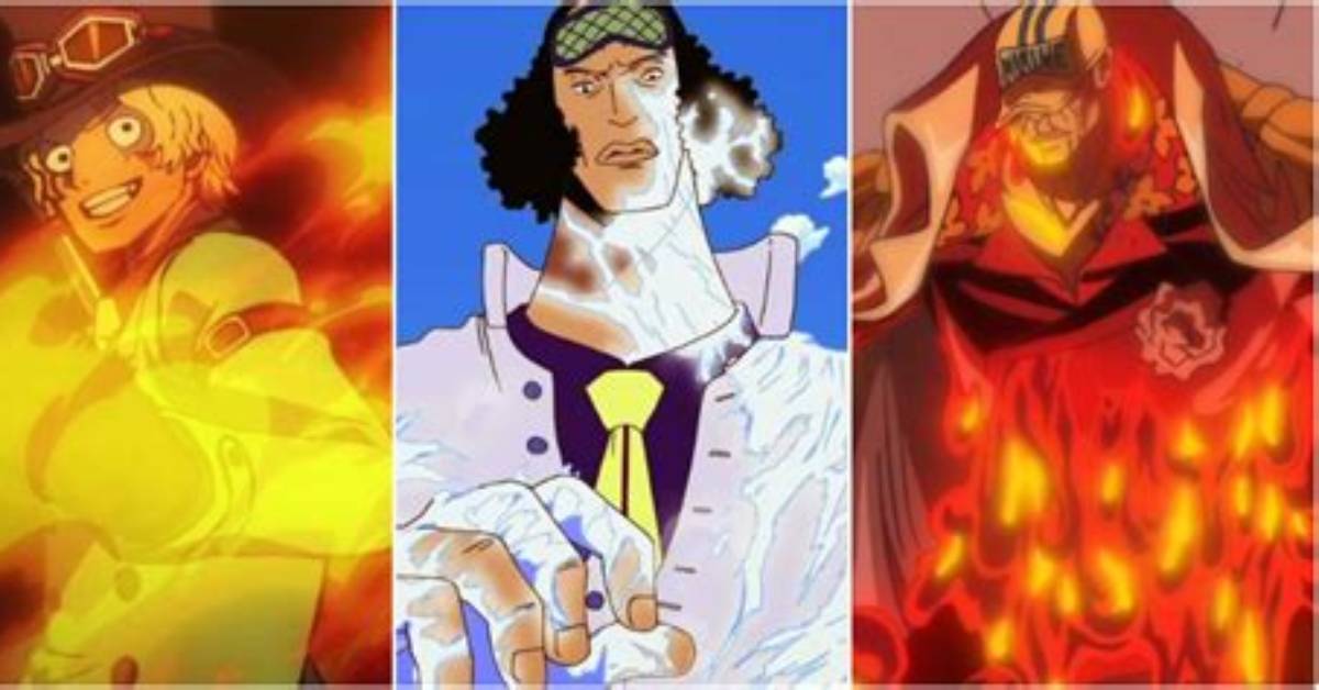 How to Hit a Logia Type?