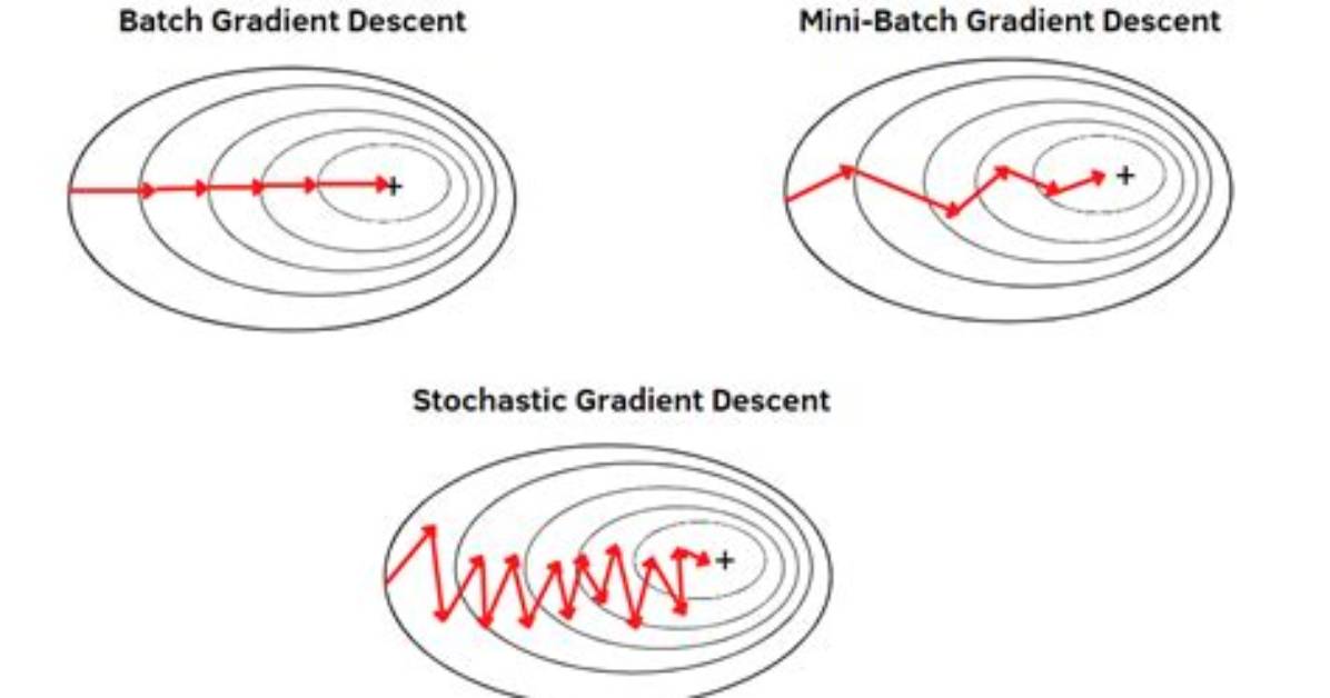 How to Implement Mini-Batch Gradient Descent in Python?