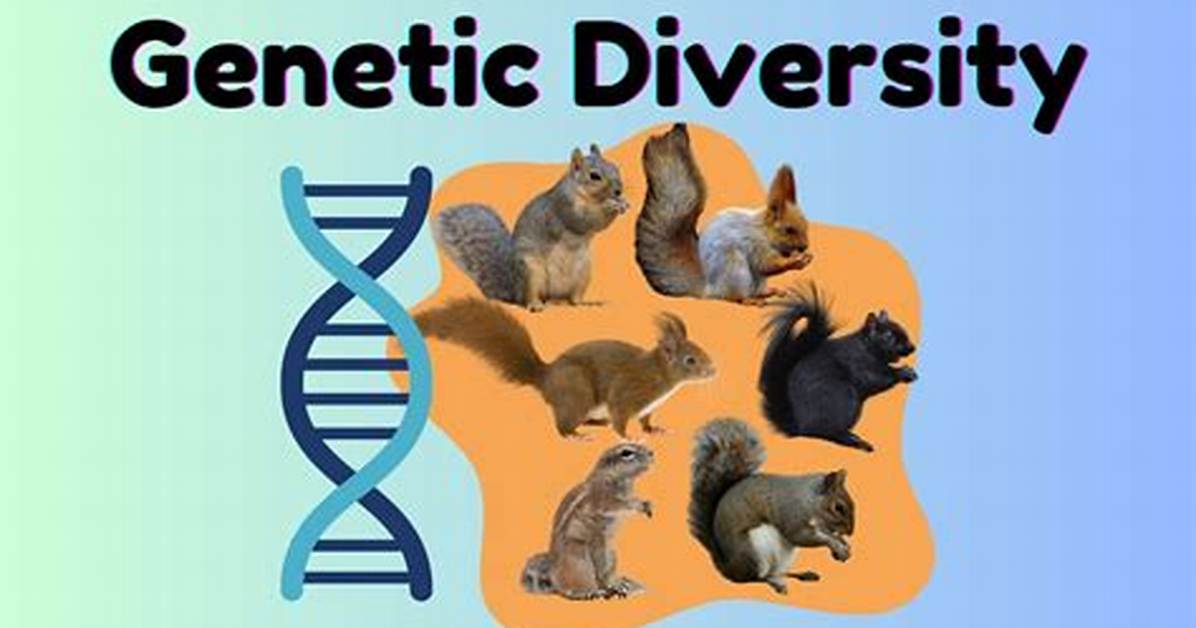 How to Increase Genetic Diversity
