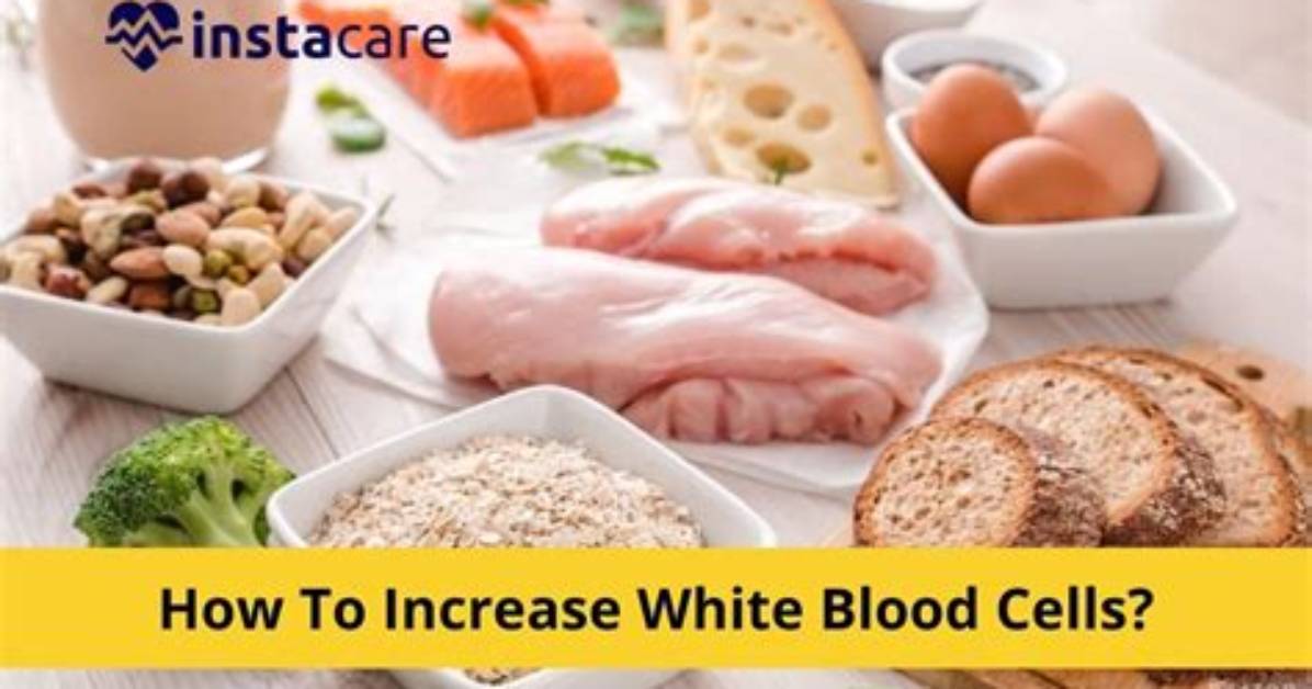 How to Increase White Blood Cells and Supercharge Your Defenses