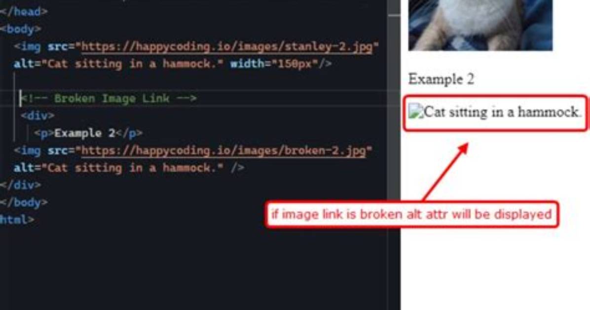 How to Insert an Image in Html