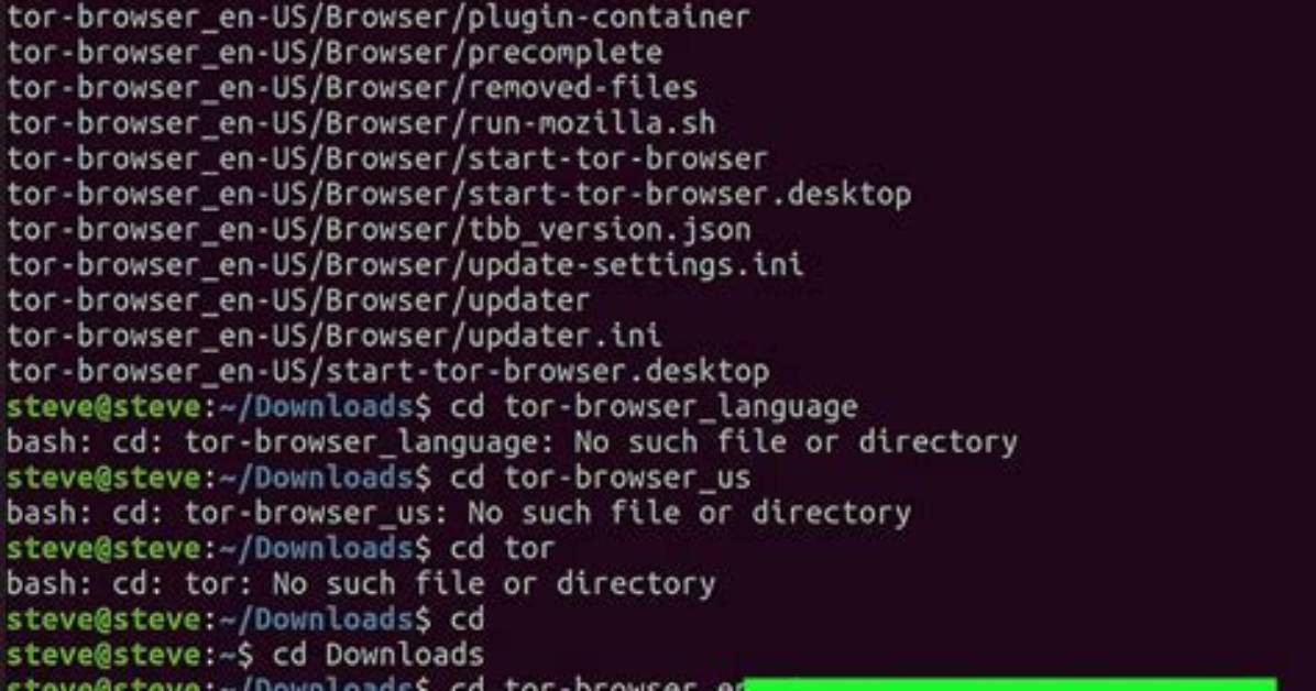 How to Install Tor on Linux?