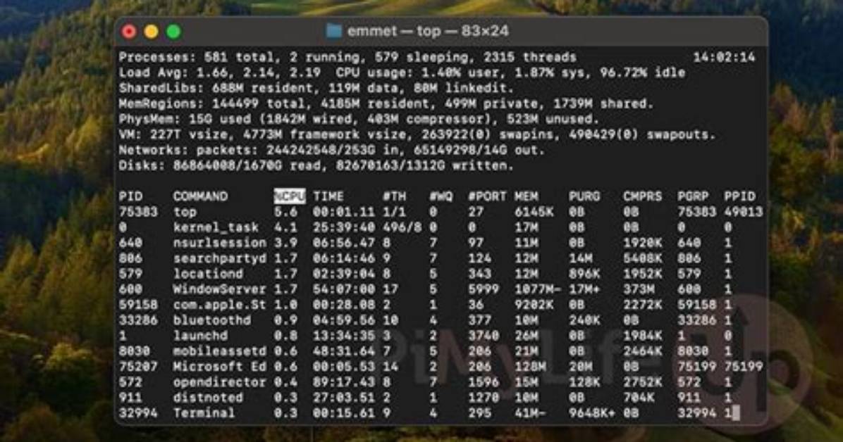 How to Kill a Process in Macos?