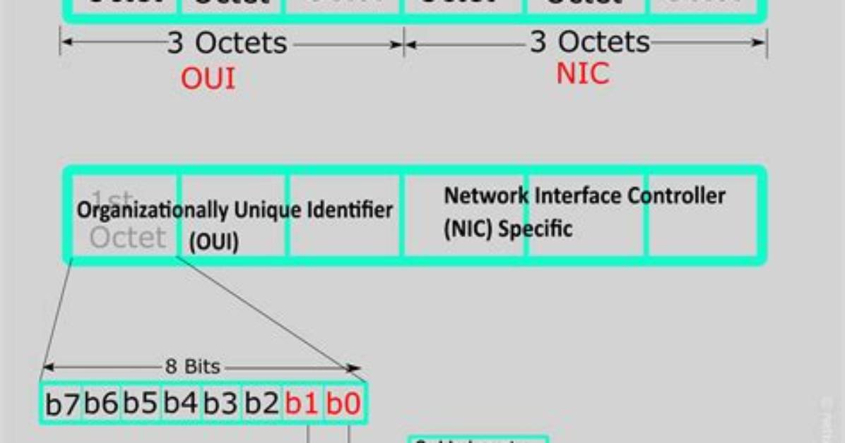 How to Know a Mac Address for a Node Knowing Its Ip on Local Network? [Duplicate]