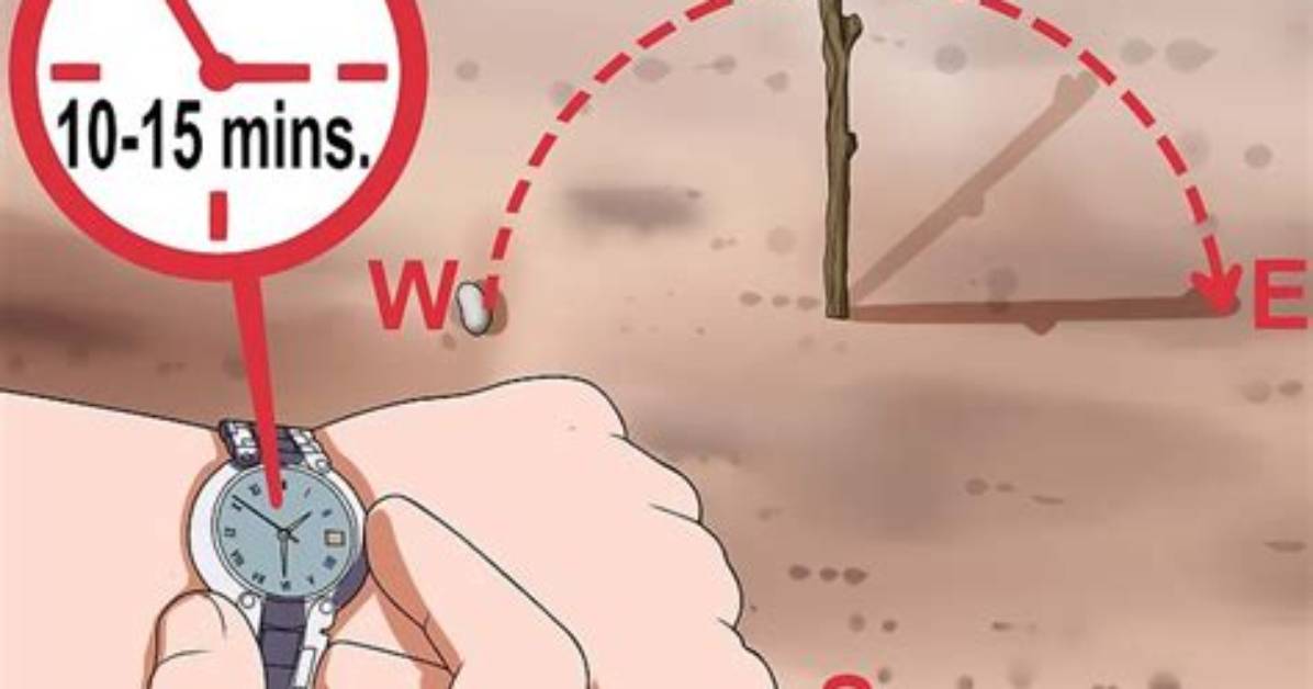 How to Know Directions Without Compass