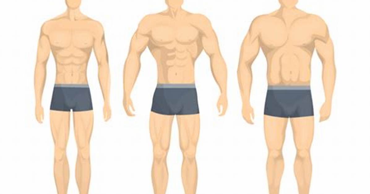 How to Know If You're Ectomorphic?