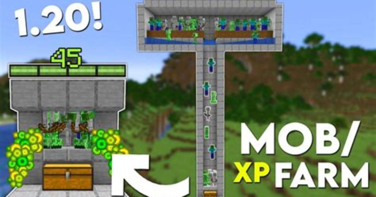 How to Level up and Farm Xp| How To