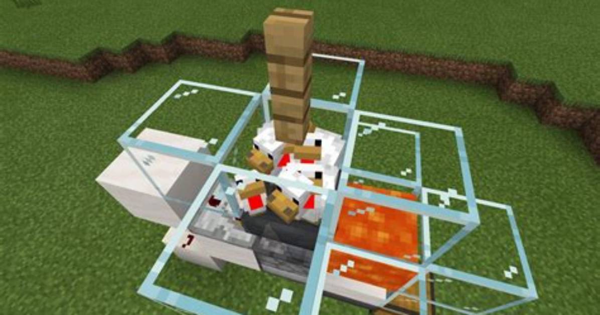 How to Lure a Chicken in Minecraft