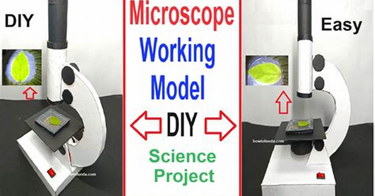 How to Make a Microscope