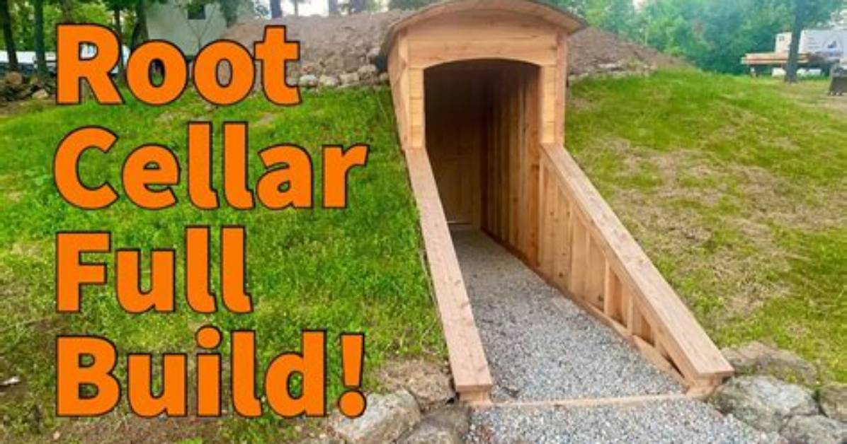 How to Make a Root Cellar?