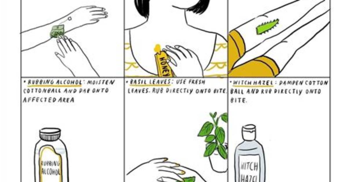 How to Make Bug Bites Go Away?