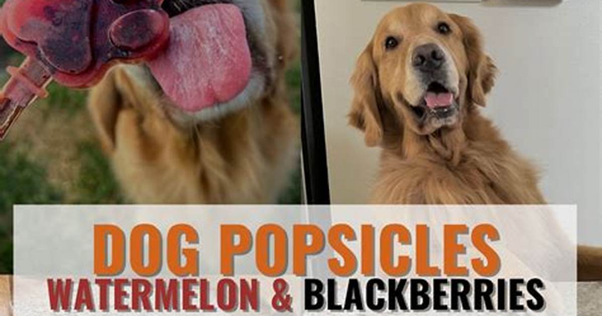 How to Make Dog Popsicles