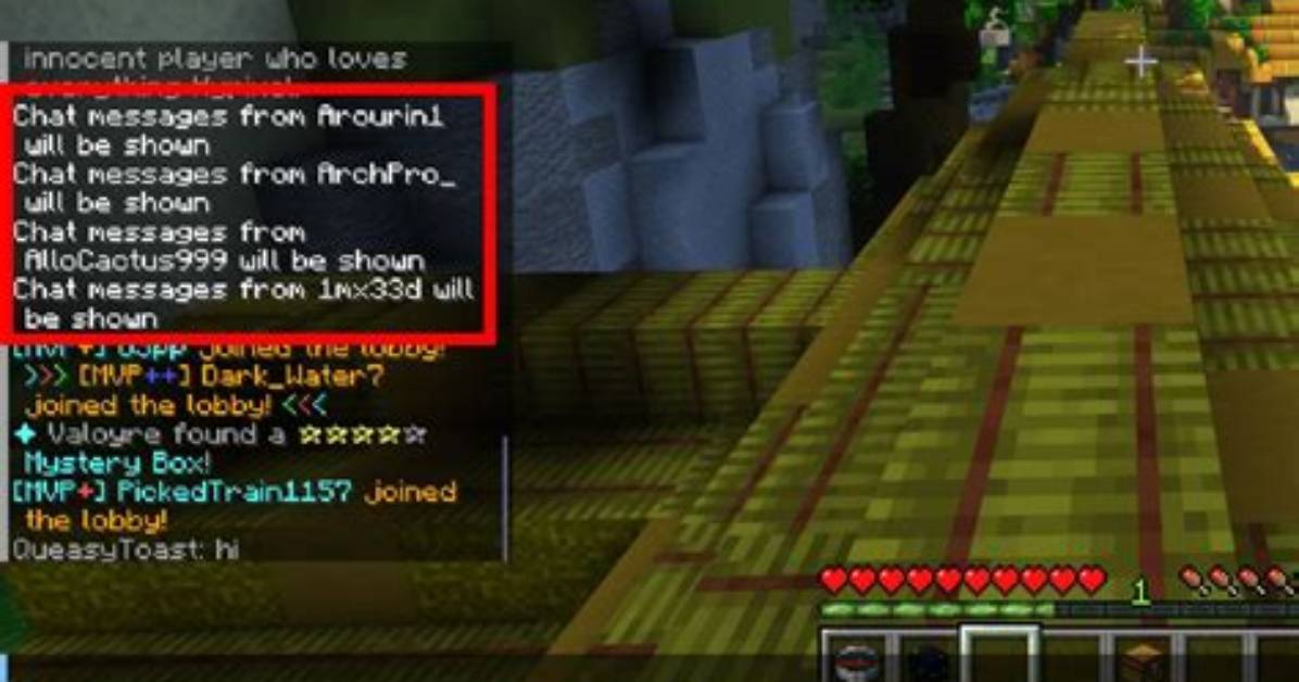 How to Message Someone on Minecraft