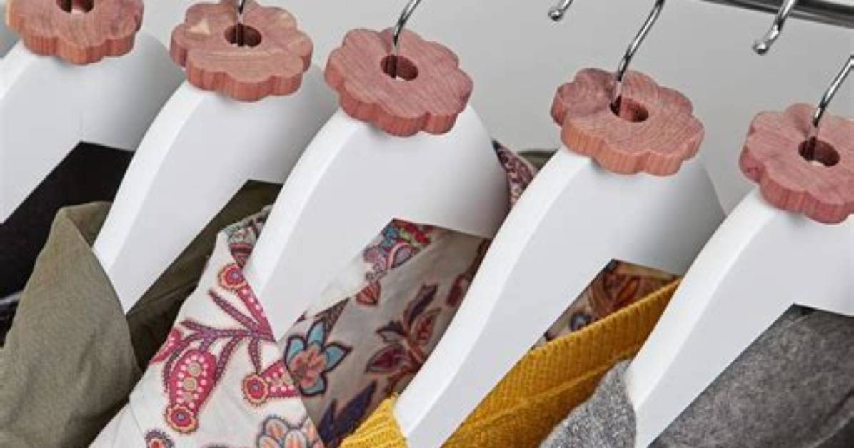 How to Mothproof a Closet?