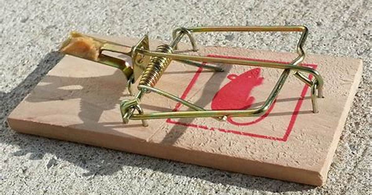 How to Mouse Traps Work?