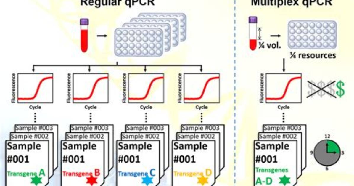 How to Multiplex Qpcr?
